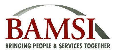 /media/uploads/organization/submitted/BAMSI_logo.jpg
