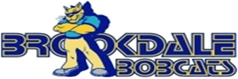 /media/uploads/organization/submitted/Brookdale_Bobcats_Logo.png