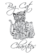 /media/uploads/organization/submitted/big_cat_charities_logo_1.png